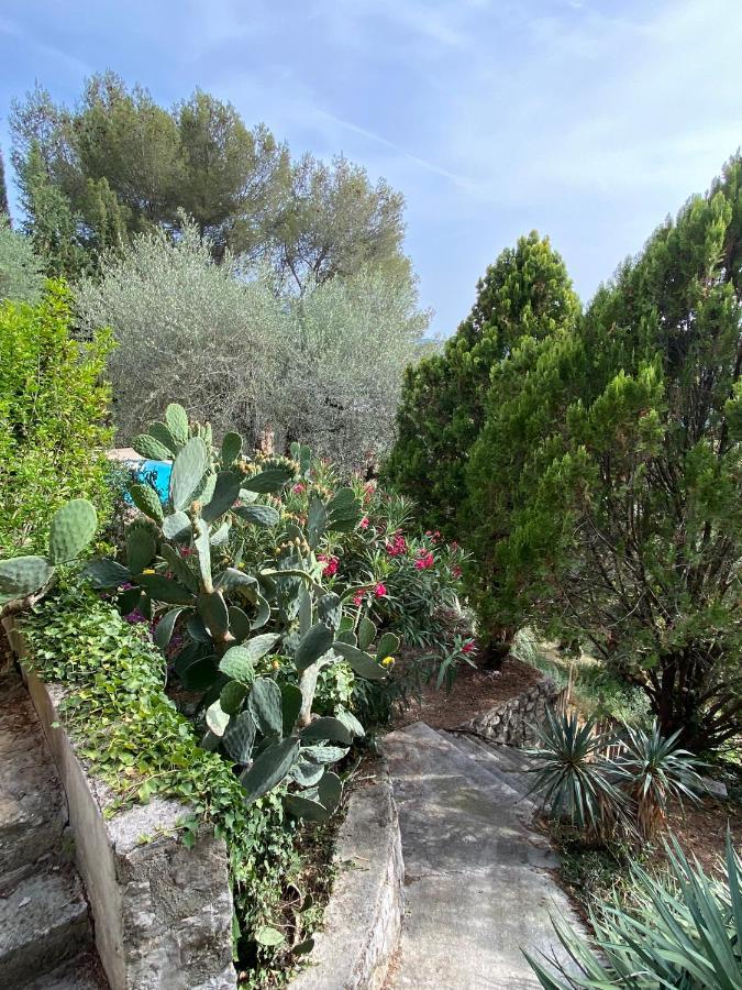 Entre Nice Et Monaco Grande Villa Avec Piscine Privee 12 Personnes Drap Exterior foto